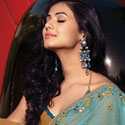 Designer Sarees