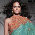Designer Sarees