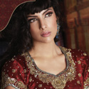 Designer Sarees