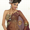 Designer Sarees